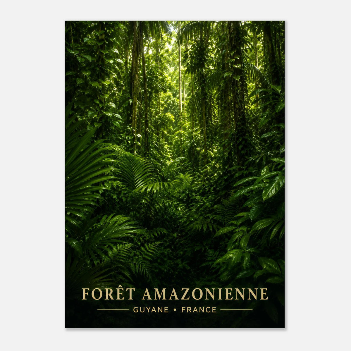 Forêt Amazonienne | Guyane