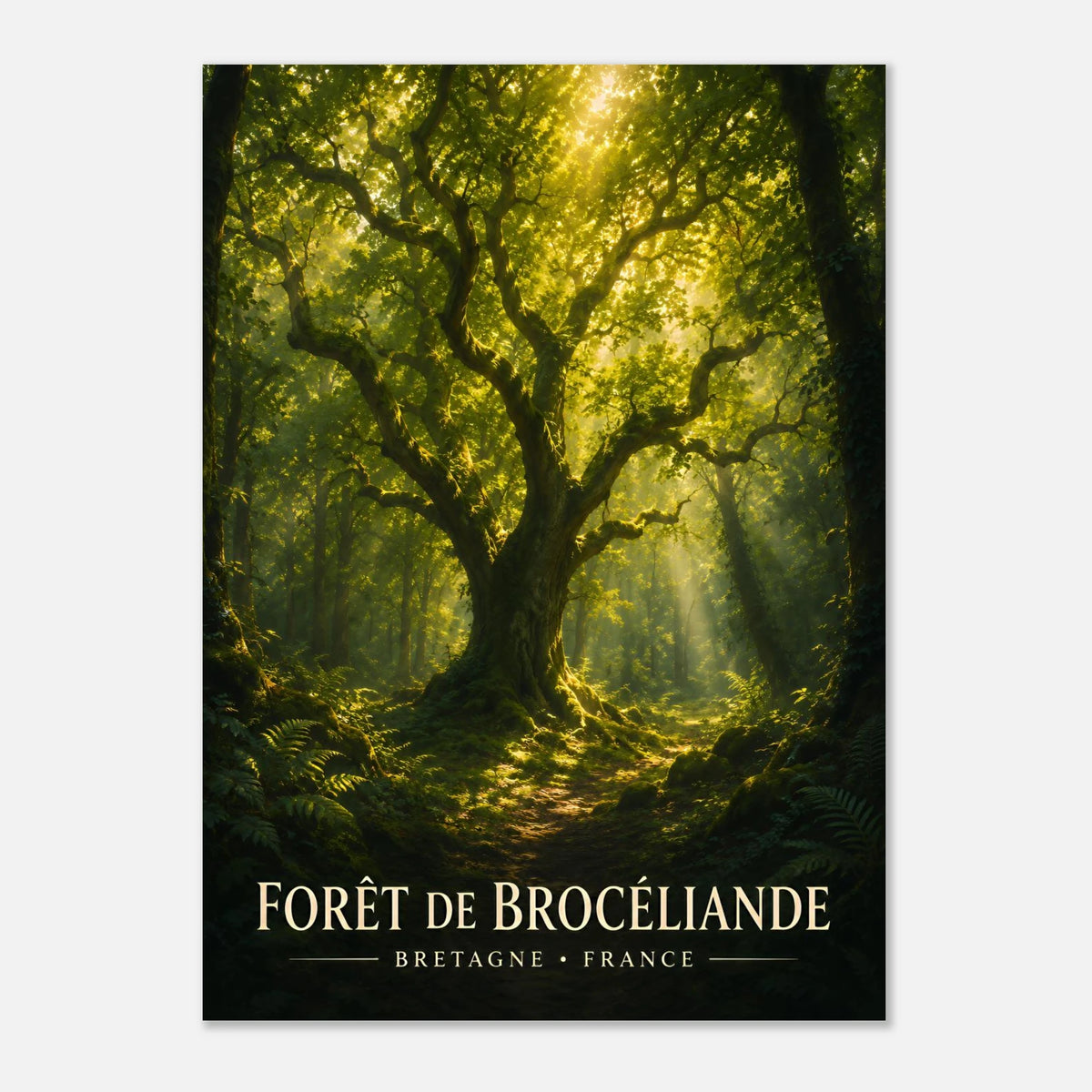 Forêt de Brocéliande | Bretagne