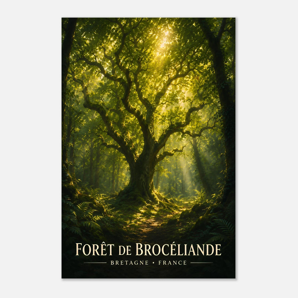 Forêt de Brocéliande | Bretagne