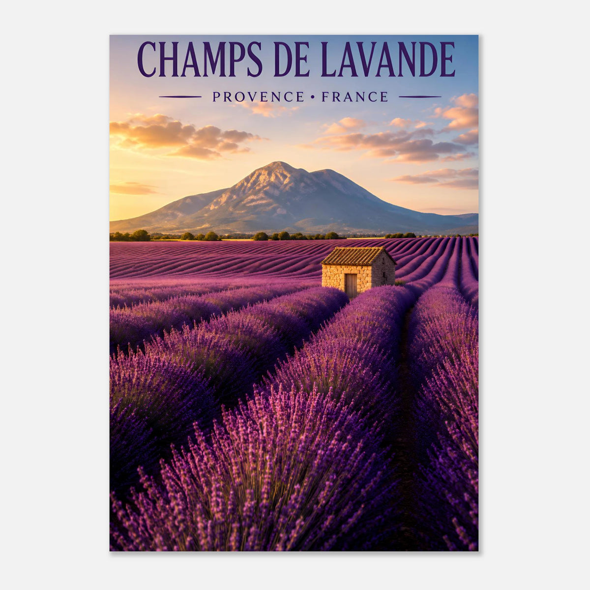 Champs de Lavande | Provence-Alpes-Côte d'Azur