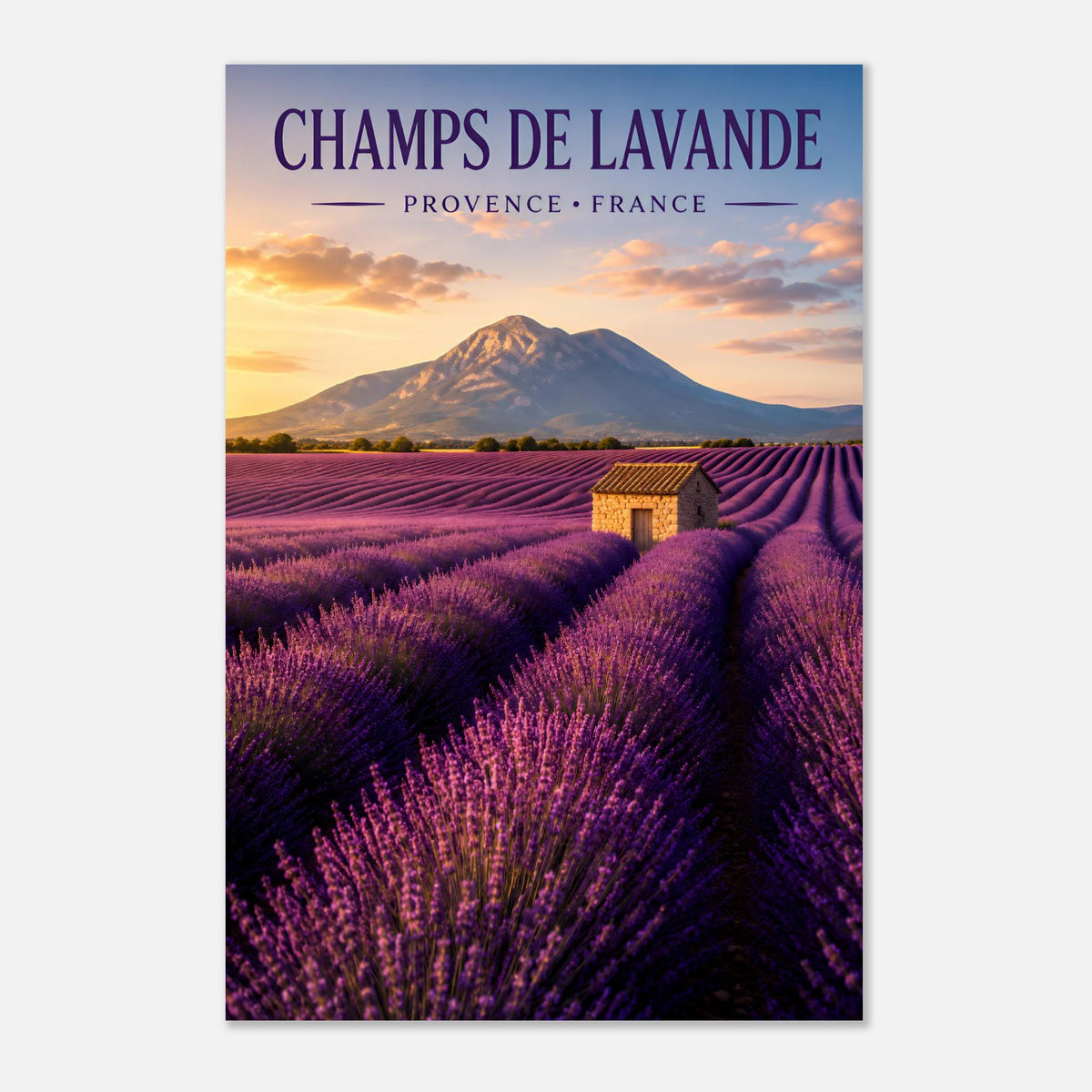Champs de Lavande | Provence-Alpes-Côte d'Azur