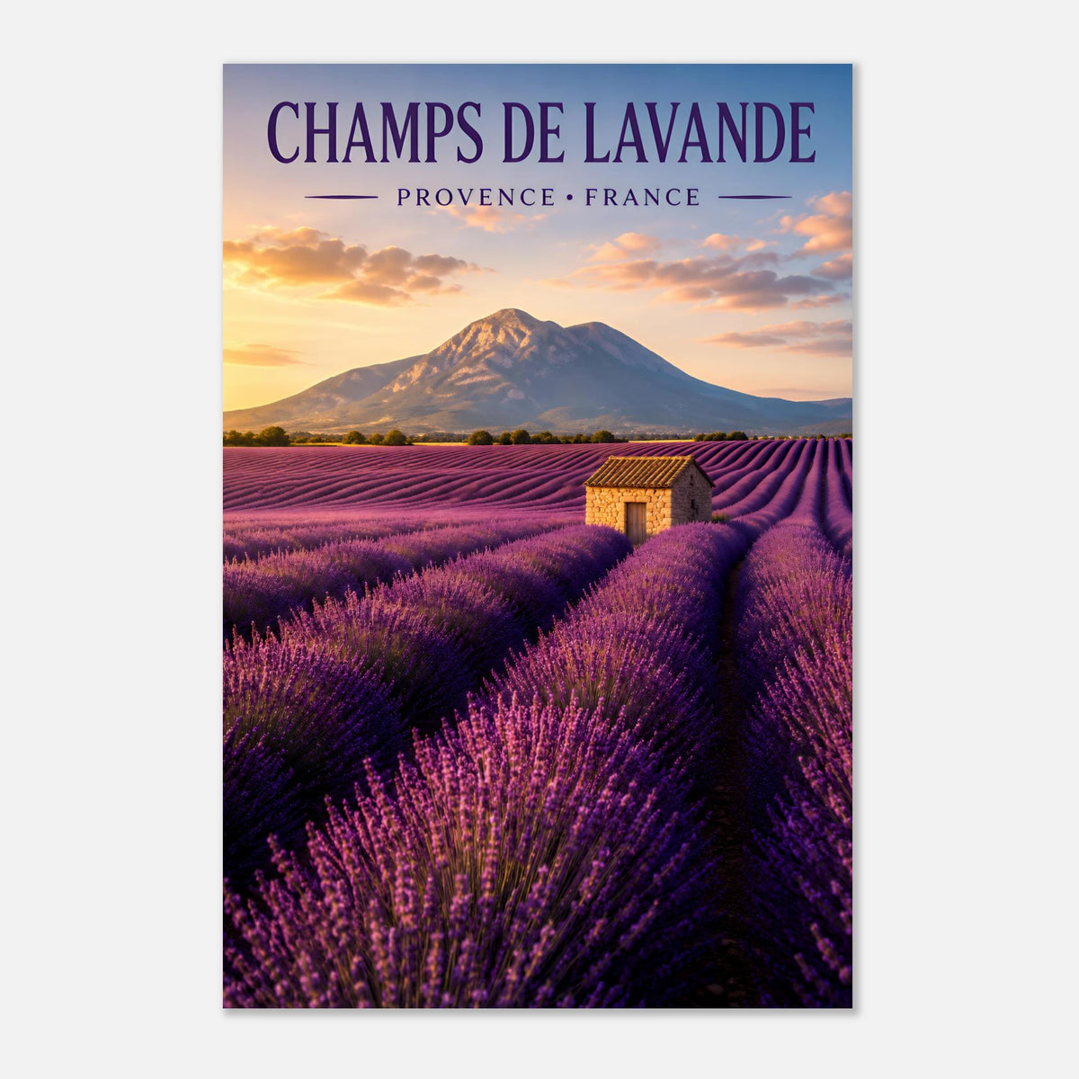 Champs de Lavande | Provence-Alpes-Côte d'Azur