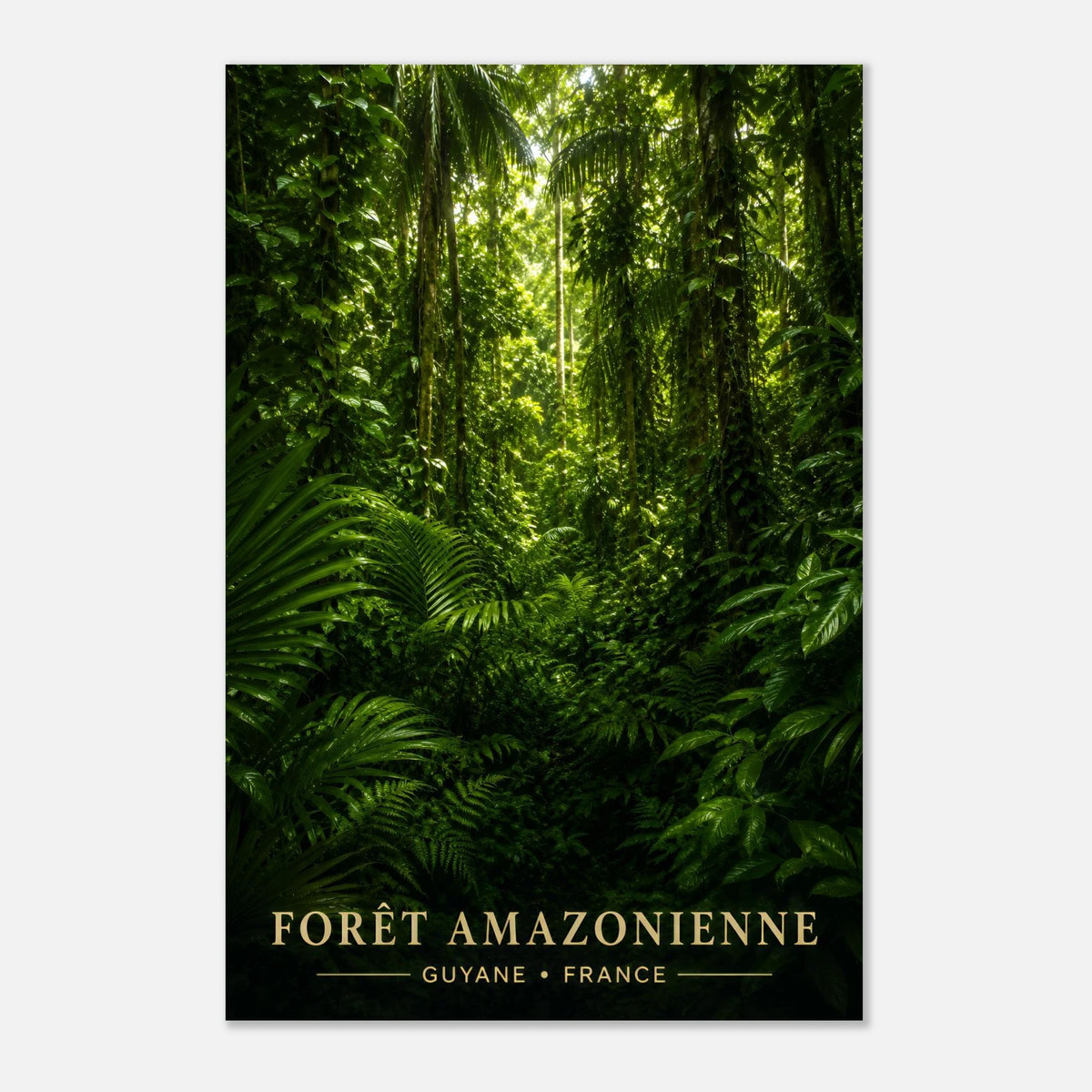 Forêt Amazonienne | Guyane