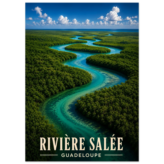 Rivière Salée, Baie-Mahault | Guadeloupe