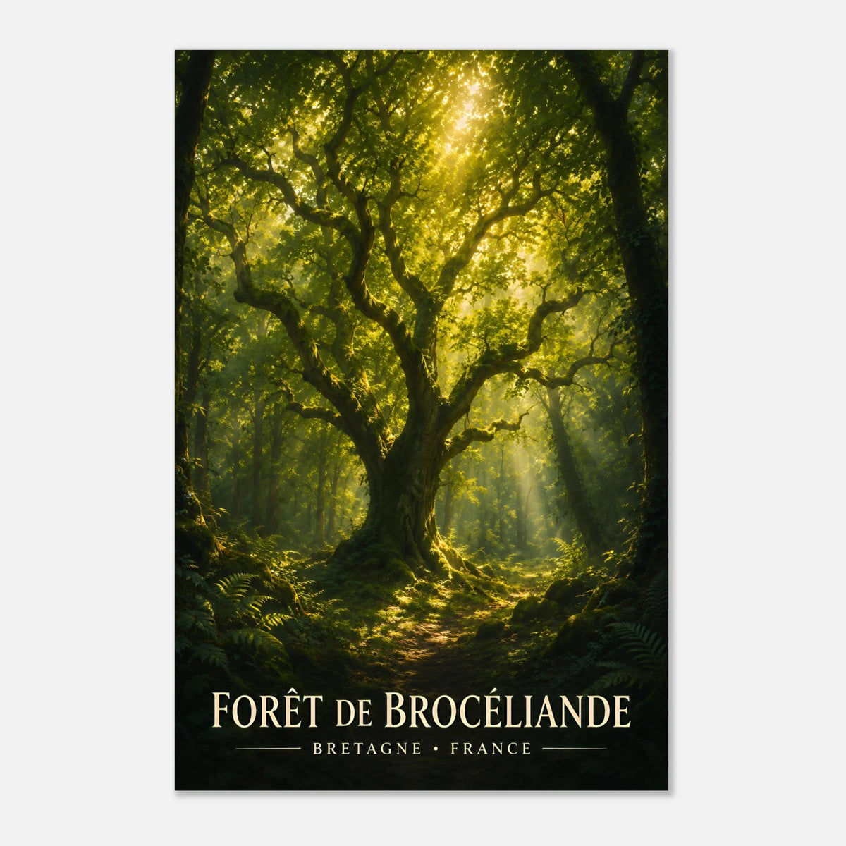 Forêt de Brocéliande | Bretagne