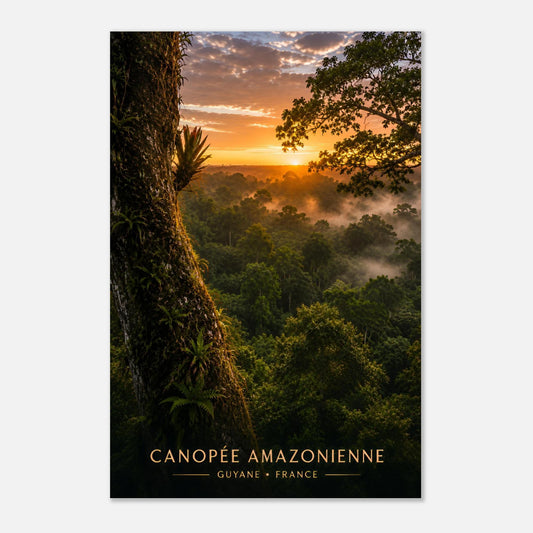 Canopée Amazonienne | Guyane