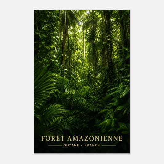 Forêt Amazonienne | Guyane