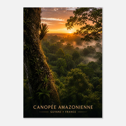 Canopée Amazonienne | Guyane