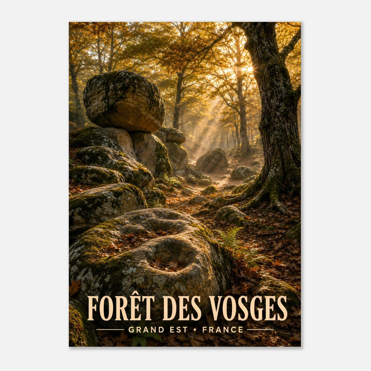 Forêt des Vosges | Grand Est