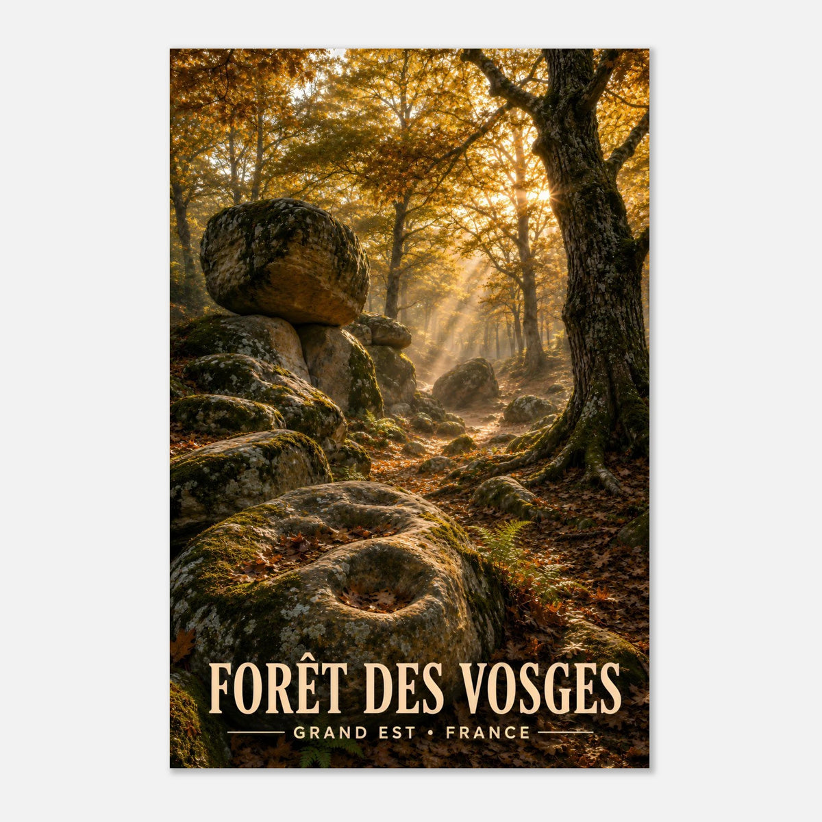 Forêt des Vosges | Grand Est